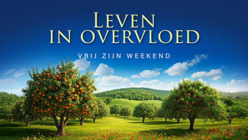 Leven in overvloed (complete set) | MP3