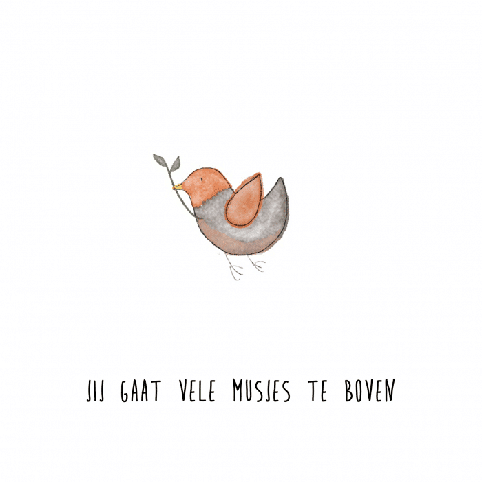 Ansichtkaart | Vele musjes te boven